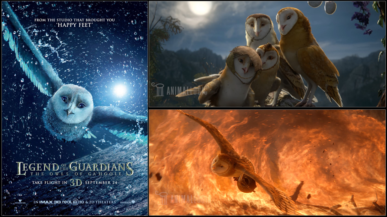 Legend of the Guardians: The Owls of Ga'Hoole (2010)